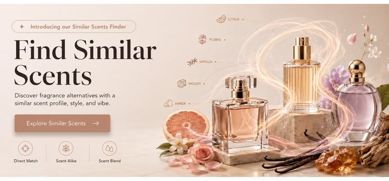 Newsletter image