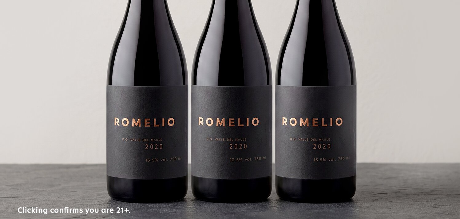 95-Point Chilean Malbec