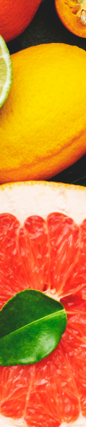 Various citric fruits in the background. Various citric fruits in the background.